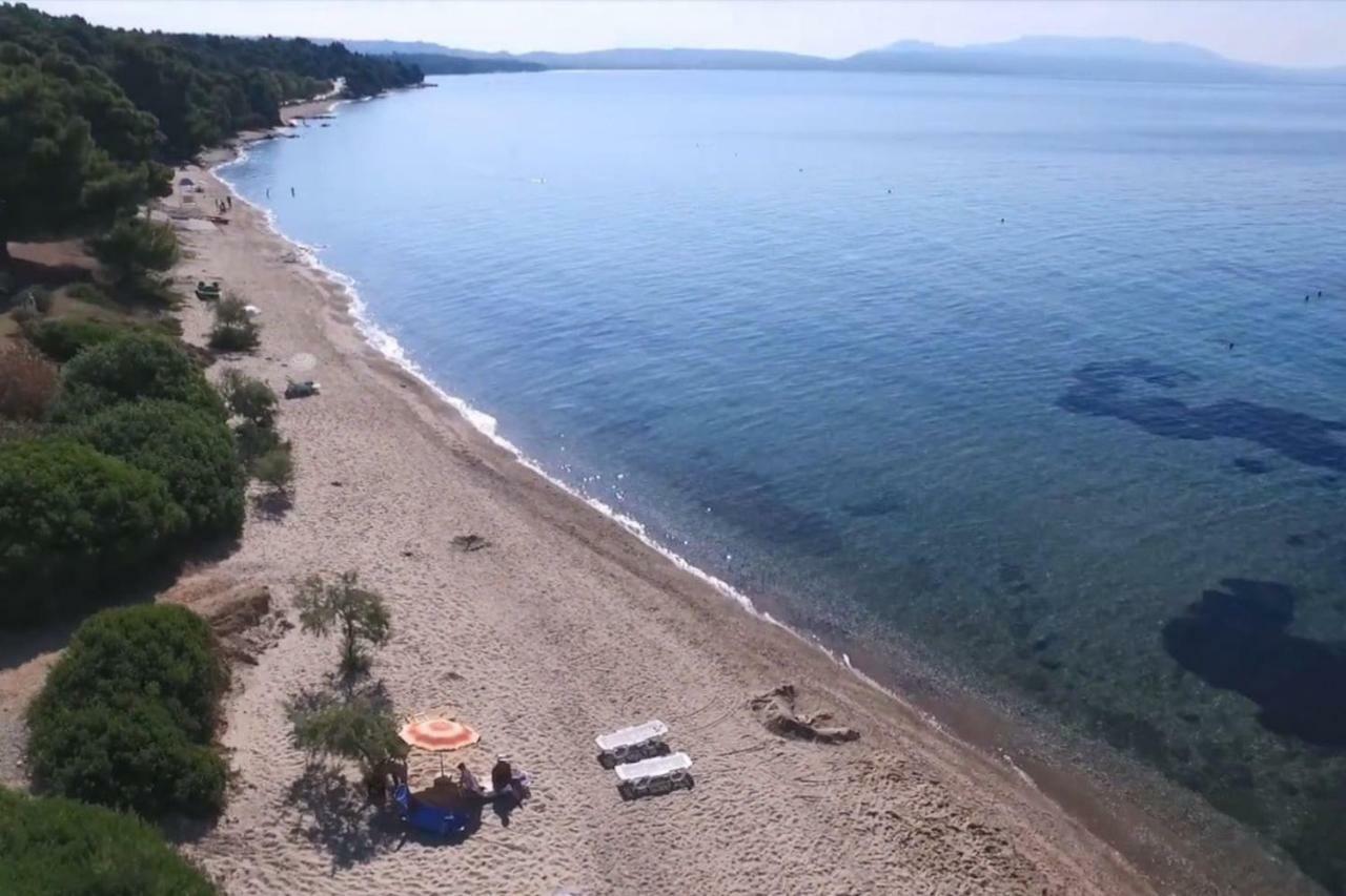 Metamorphosis - Halkidiki Apartment On The Beach Metamorfosi  Exterior photo